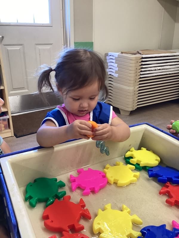 Sensory Play