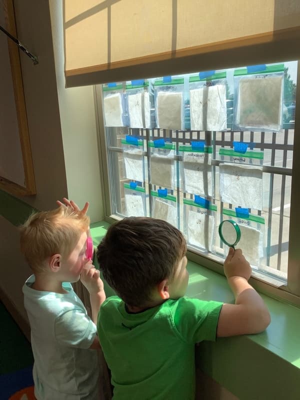 Preschool students exploring science activity at Alliance preschool