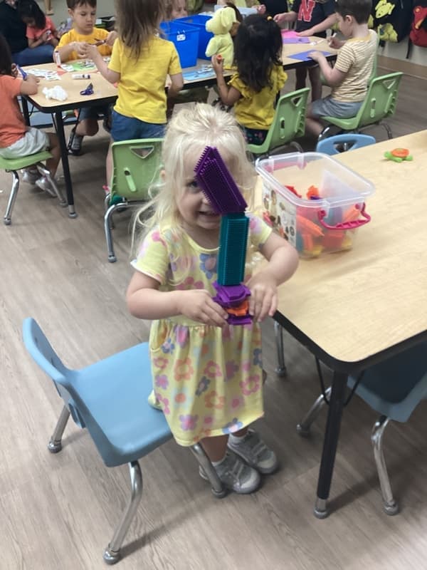 Bristle Blocks