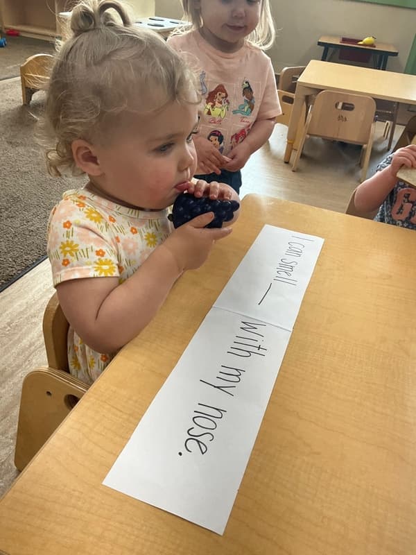 Primrose School - Pinnacle - toddler - childcare