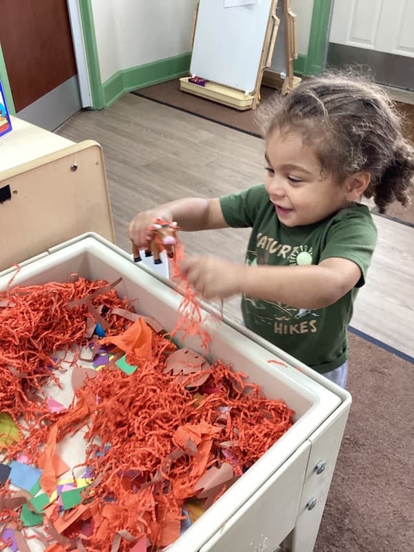 Preschool Pathways Sensory