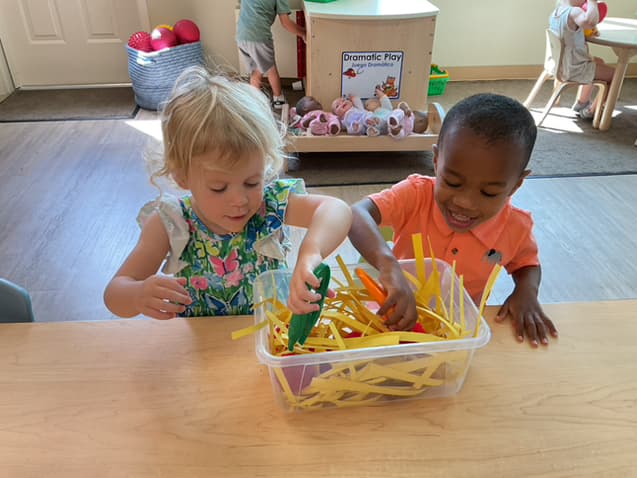 Fine Motor