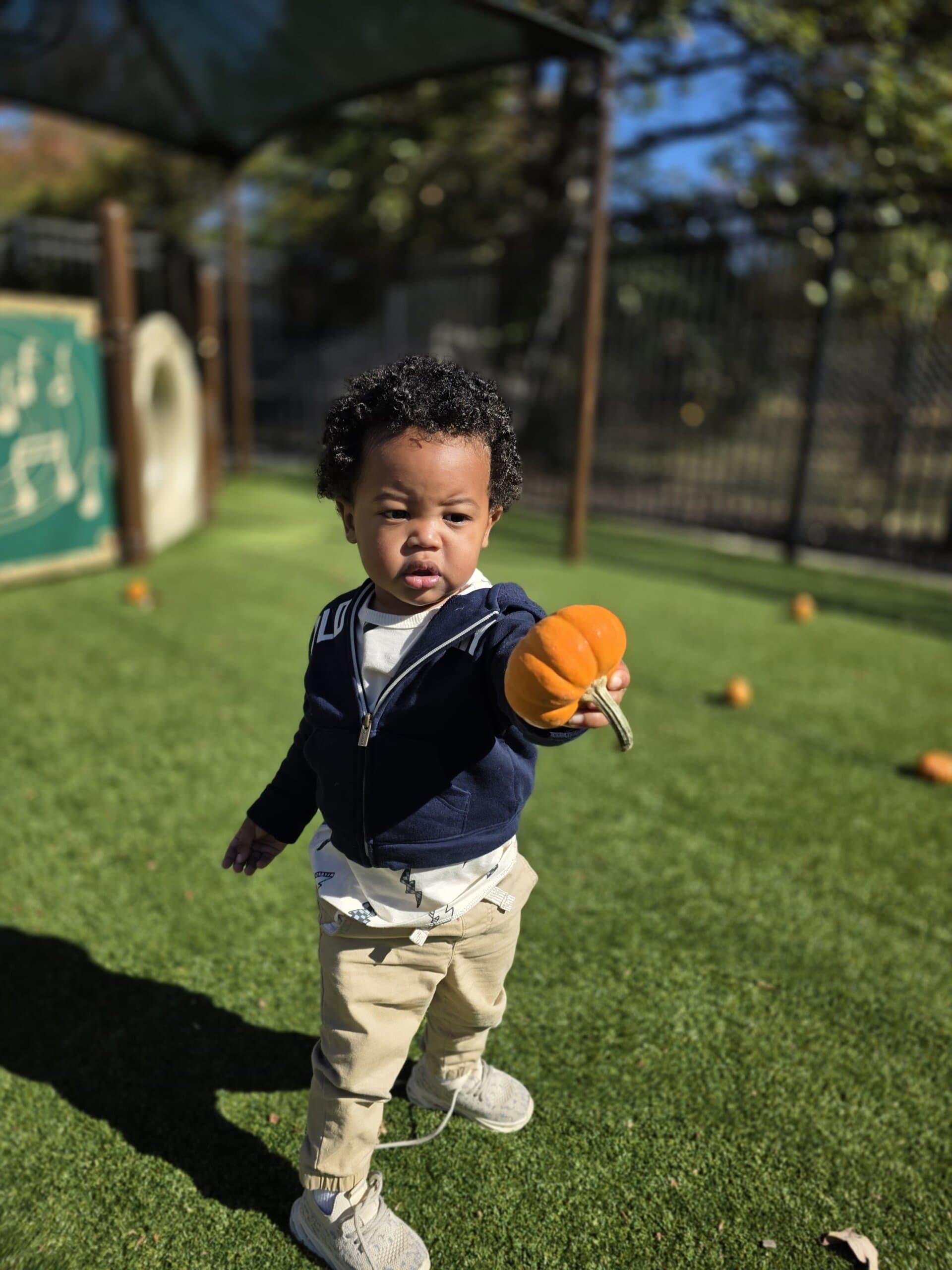 Pumpkin Patch