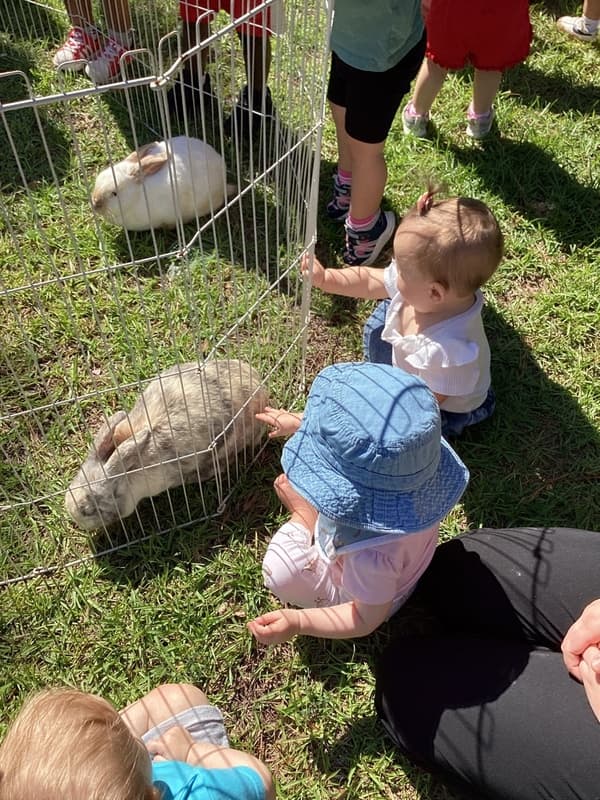 Petting Zoo