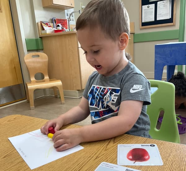Primrose School - Pinnacle - Early Preschool- childcare
