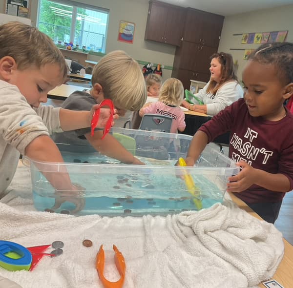 Fine Motor