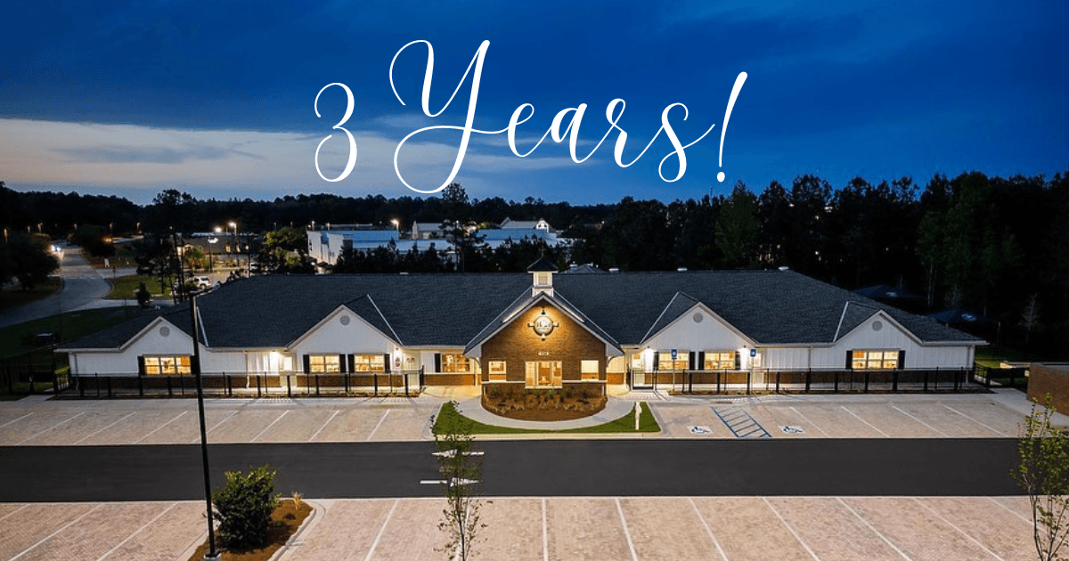 3 Year Anniversary