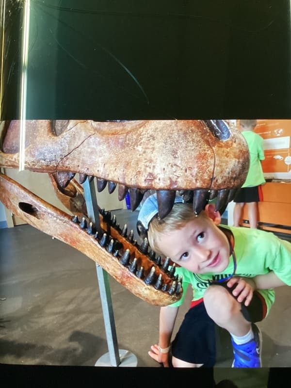 Dino Dig