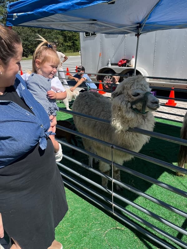 Petting Zoo