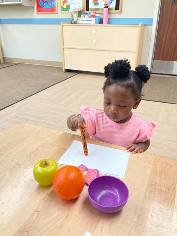 Learning about colors and shapes in OI!