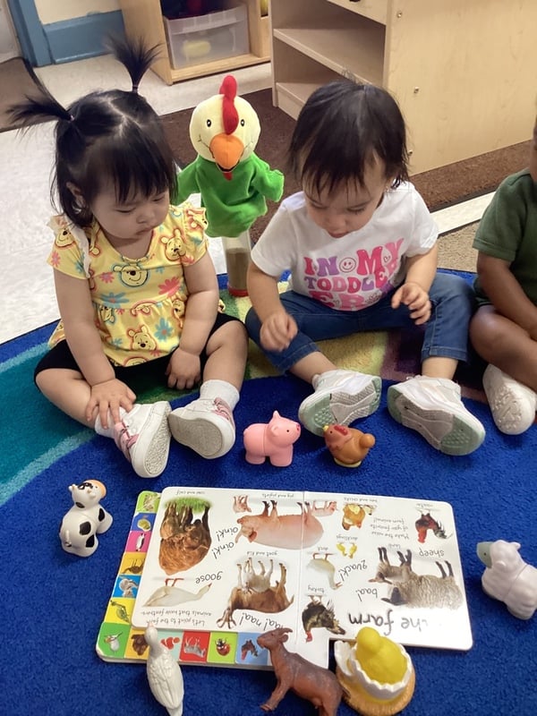 Wonder Time 1: Farm Animal Sounds