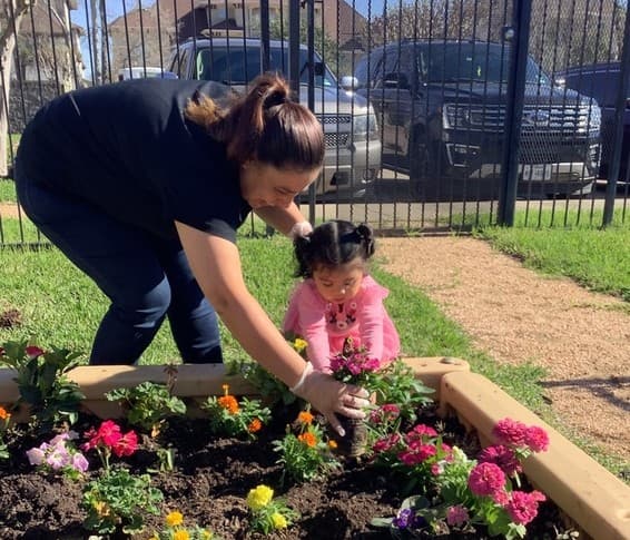 planting, flower, garden, child