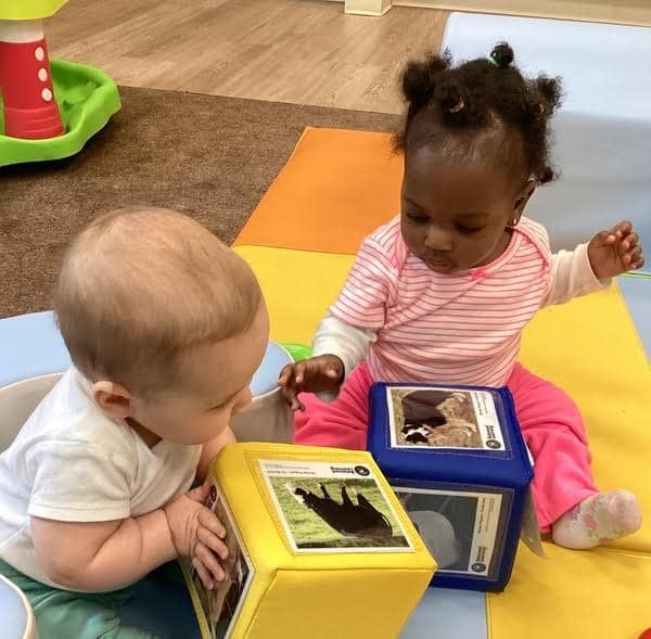 Motor Skills