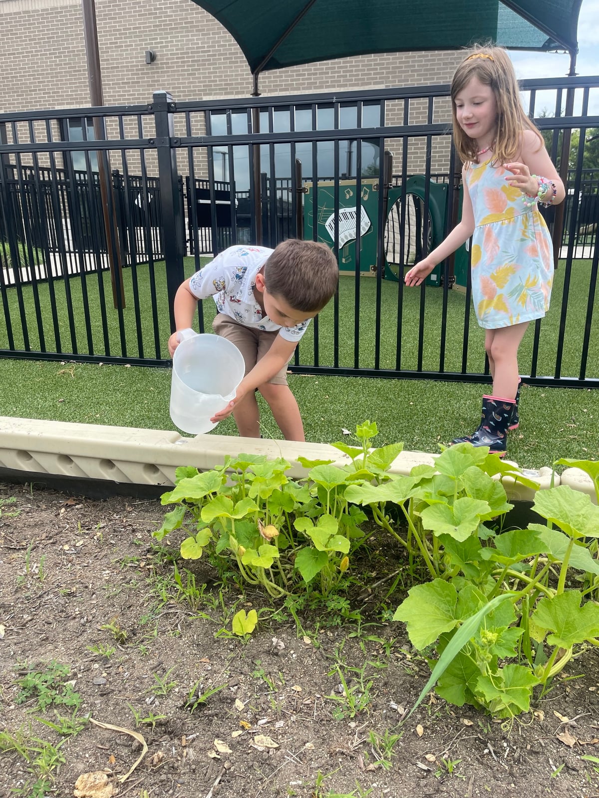 Pre-K students in the Primrose garden