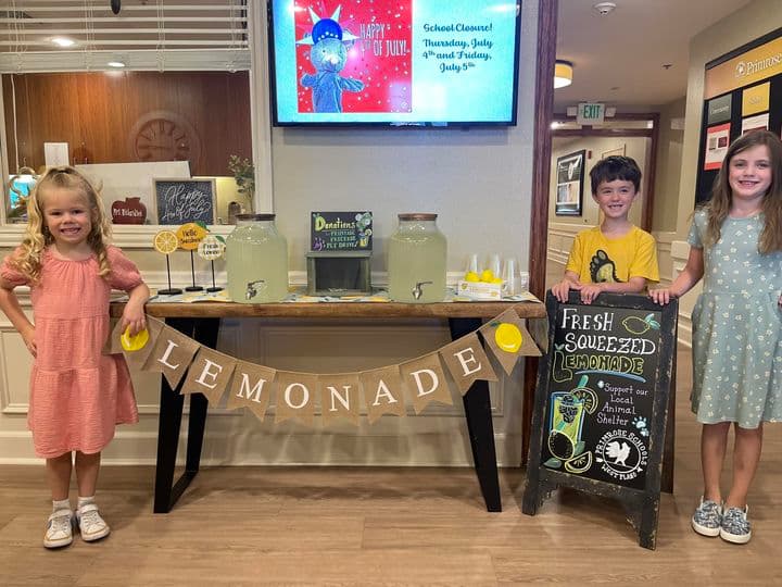 Lemonade