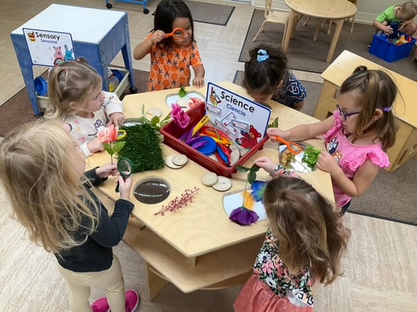 Primrose Schools- Pinnacle- Preschool