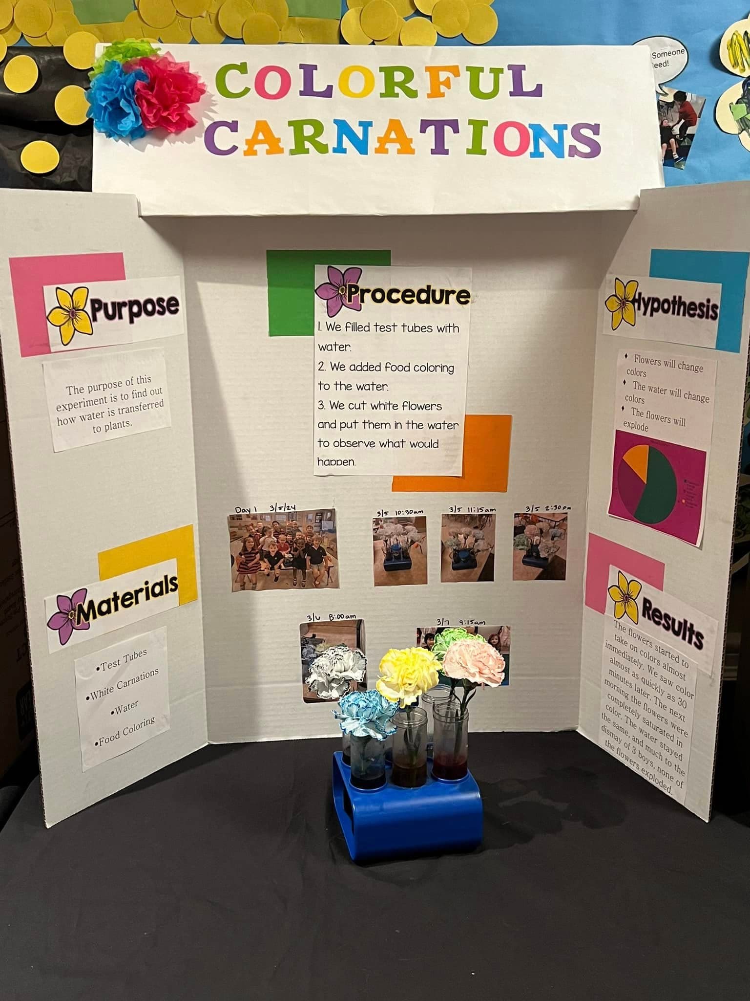 science fair project