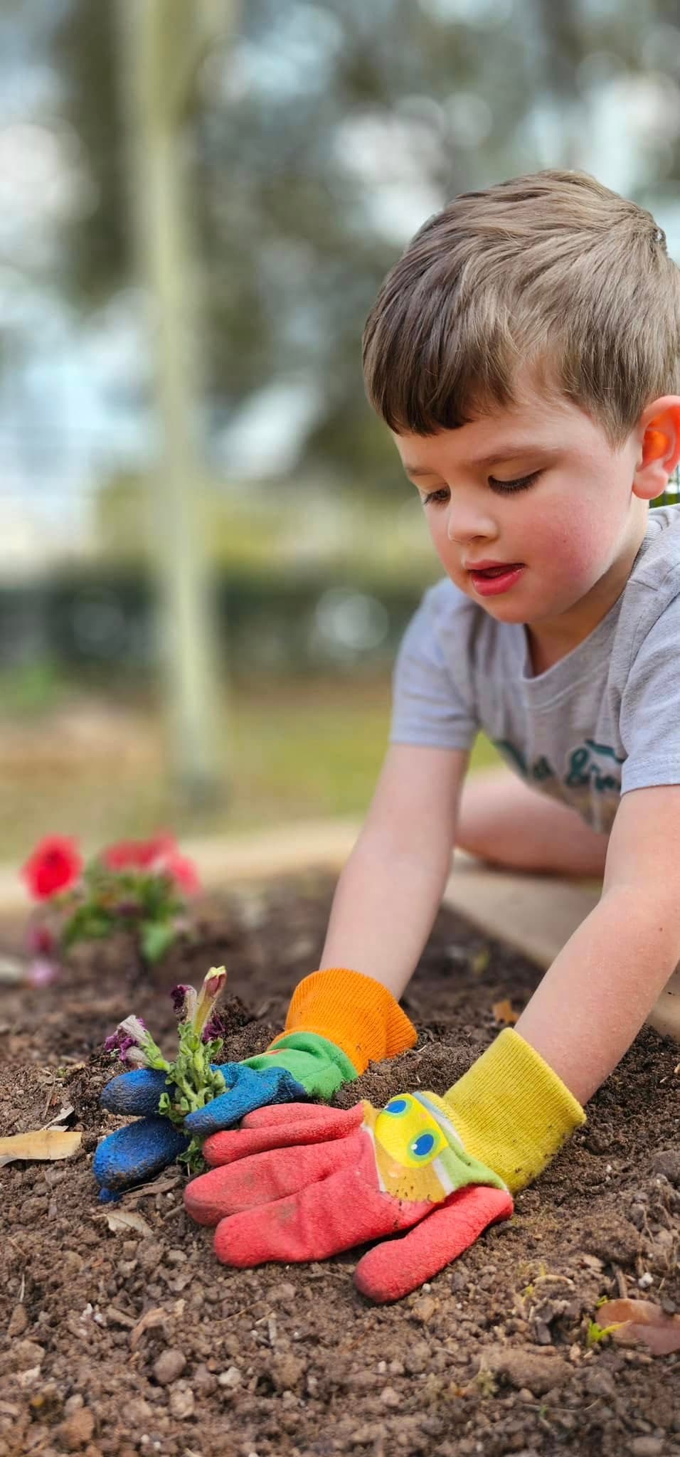 Planting flowers