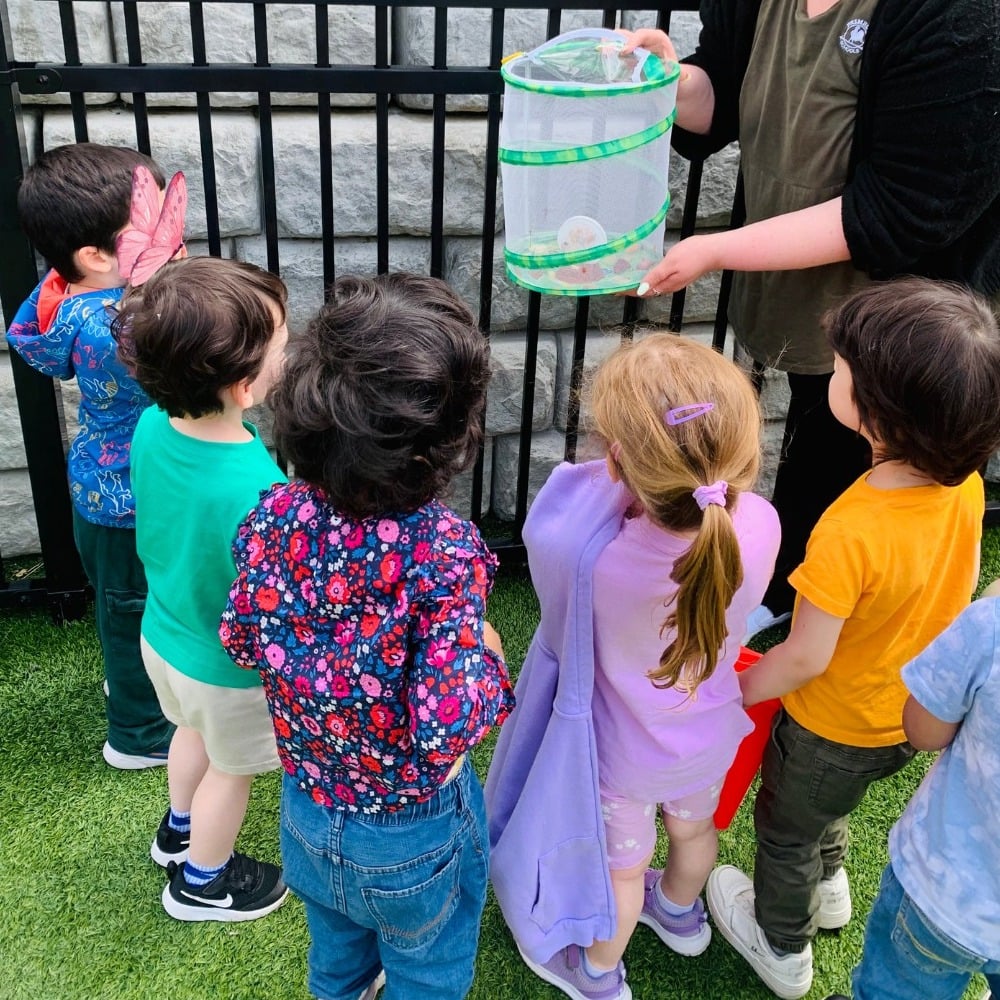 Welcoming Spring with Wonder and Tiny New Friends