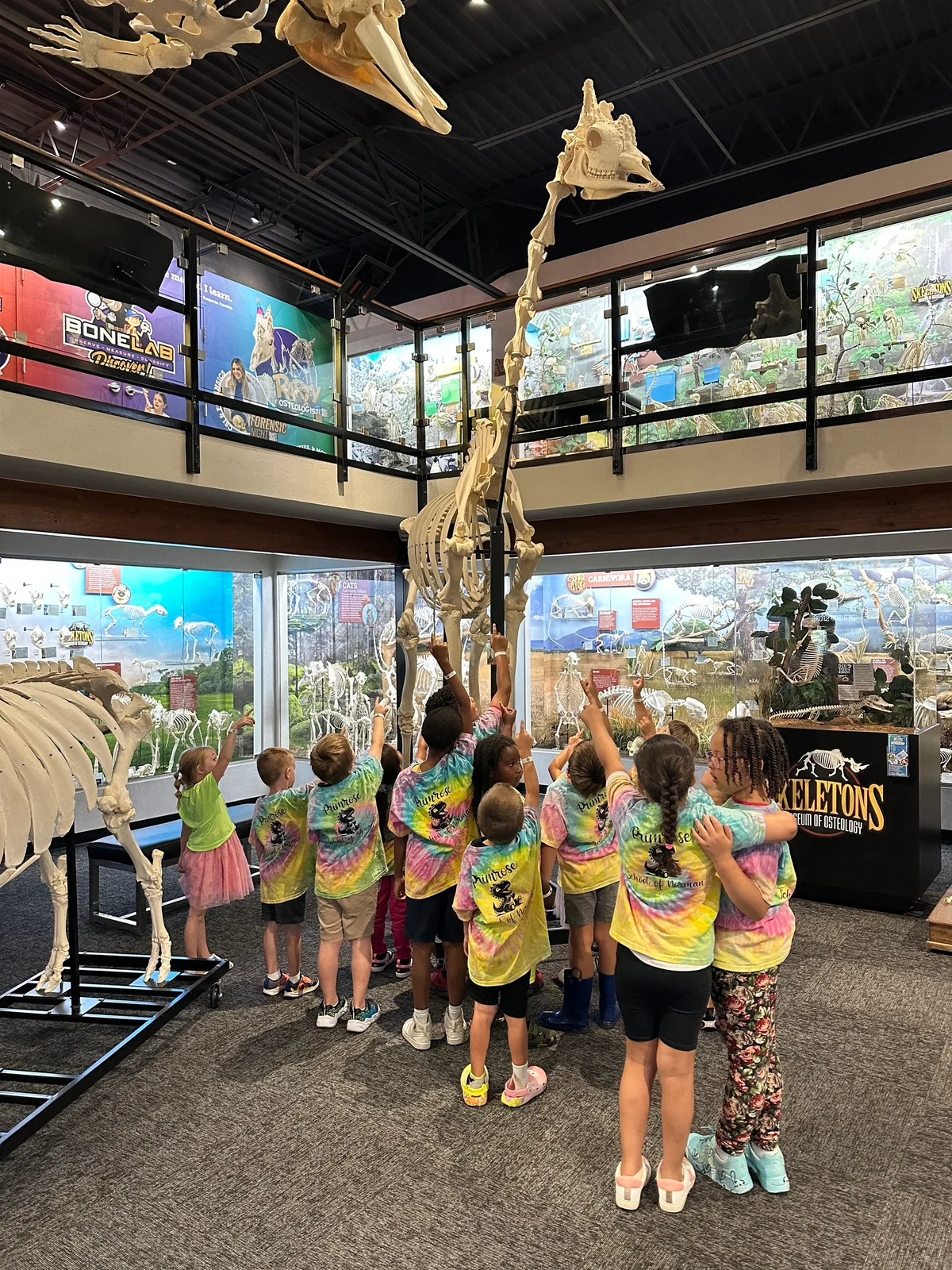 Children exploring bones at the Osteology Museum