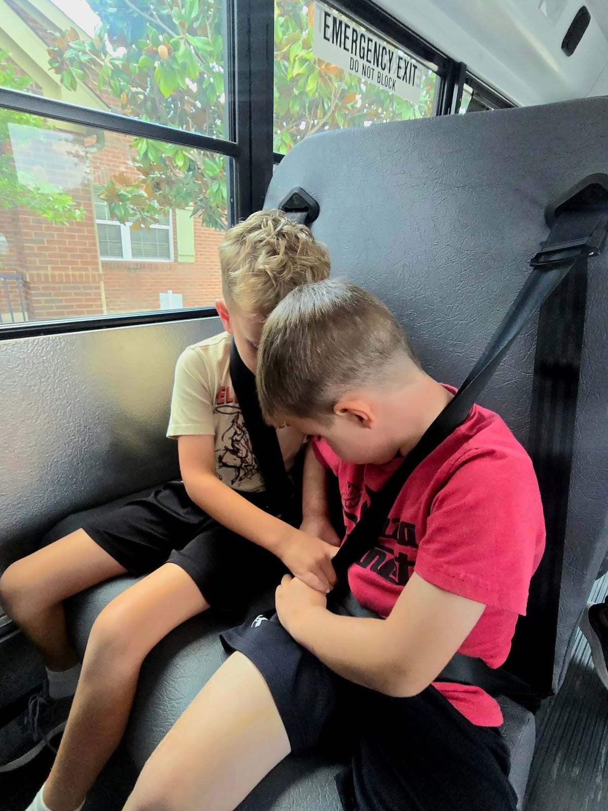 Two Primrose School Explorer students in Keller, Texas working together to buckle their seat-belts