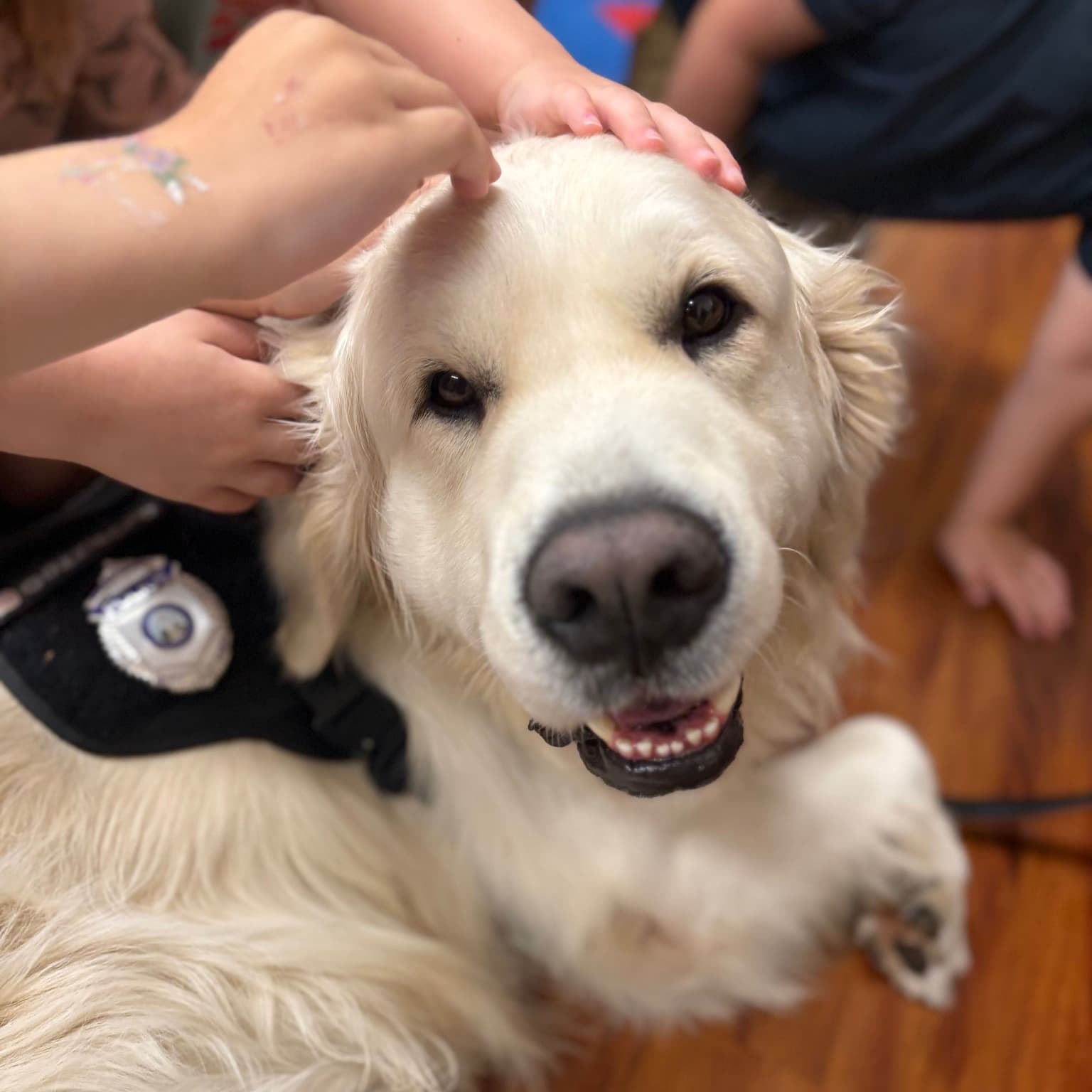 Chelmsford PD Ozzy at the Primrose School of Chelmsford