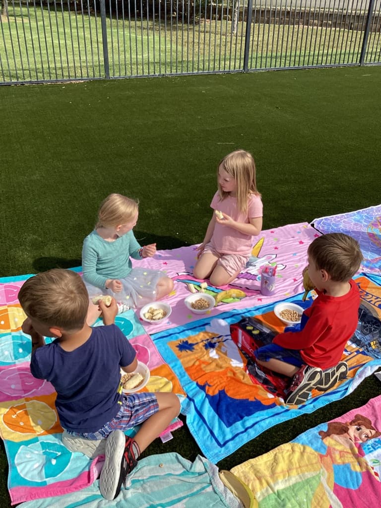 picnic