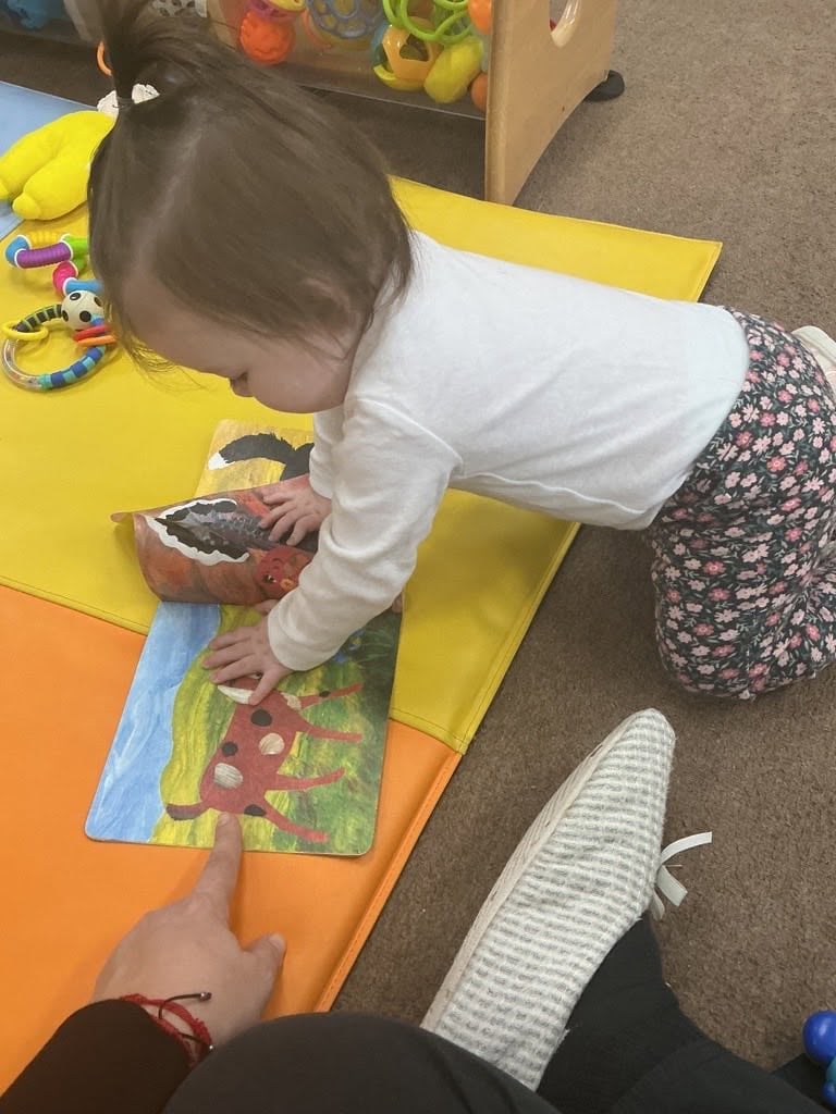 Toddler exploring a colorful board book during an early literacy activity that encourages language development, curiosity, and a love of reading at Primrose School.