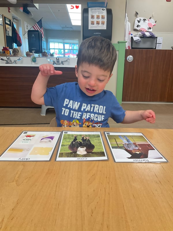 Learning about Farm Animals!
