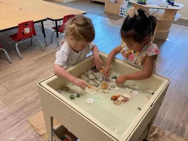 Sensory Bin