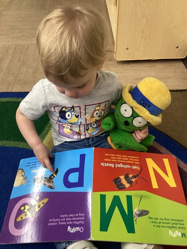 Young child exploring letters and pictures in an alphabet book during an early literacy and language development activity.