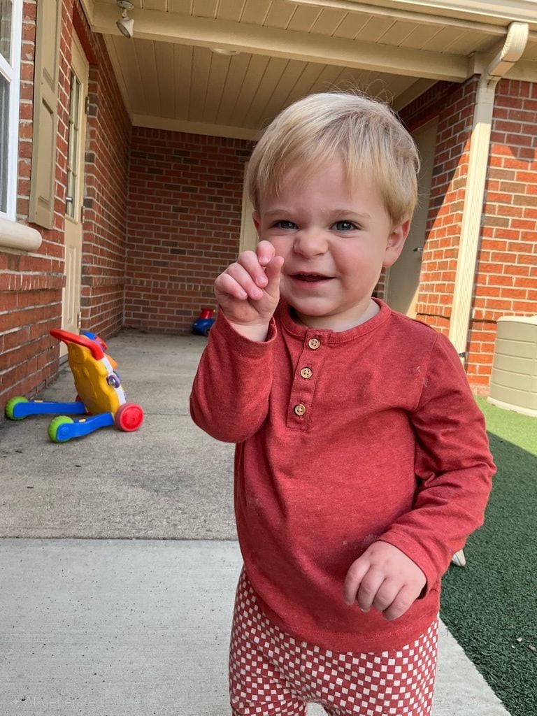 toddlers preschool sign language teaching