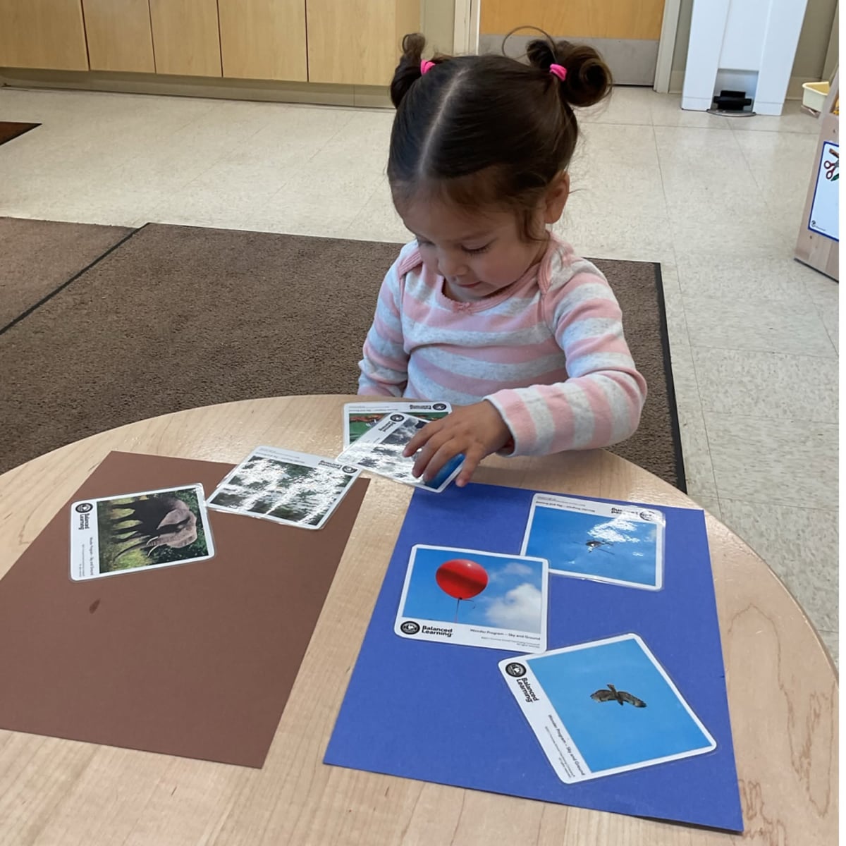 Toddler sorting picture cards into matching categories to strengthen observation skills, classification, vocabulary development, and early cognitive learning at Primrose School.
