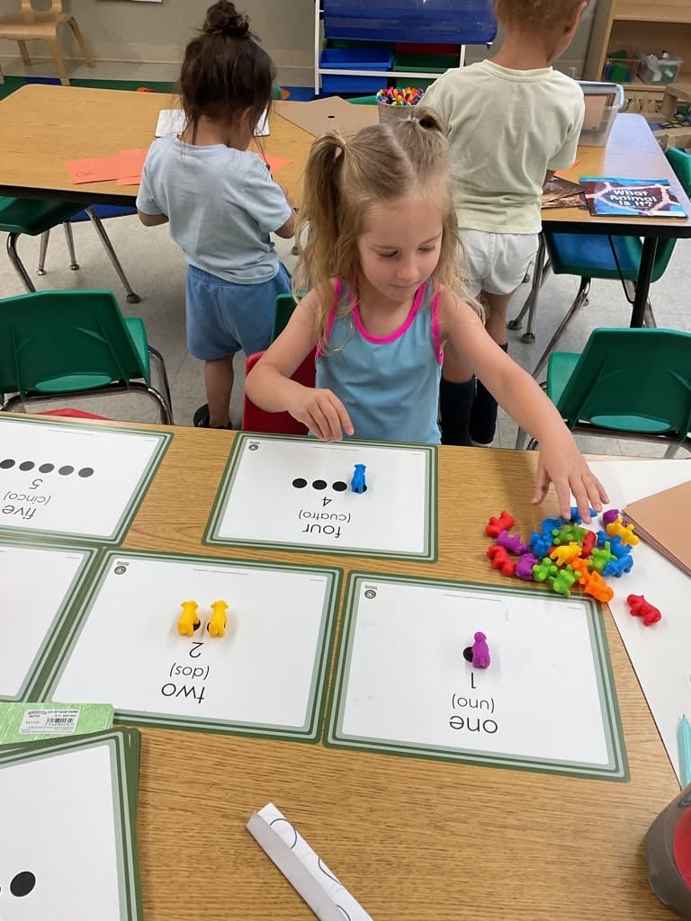 Preschool student using counting cards and colorful manipulatives to strengthen number recognition, one-to-one correspondence, and early math skills through hands-on learning at Primrose School.
