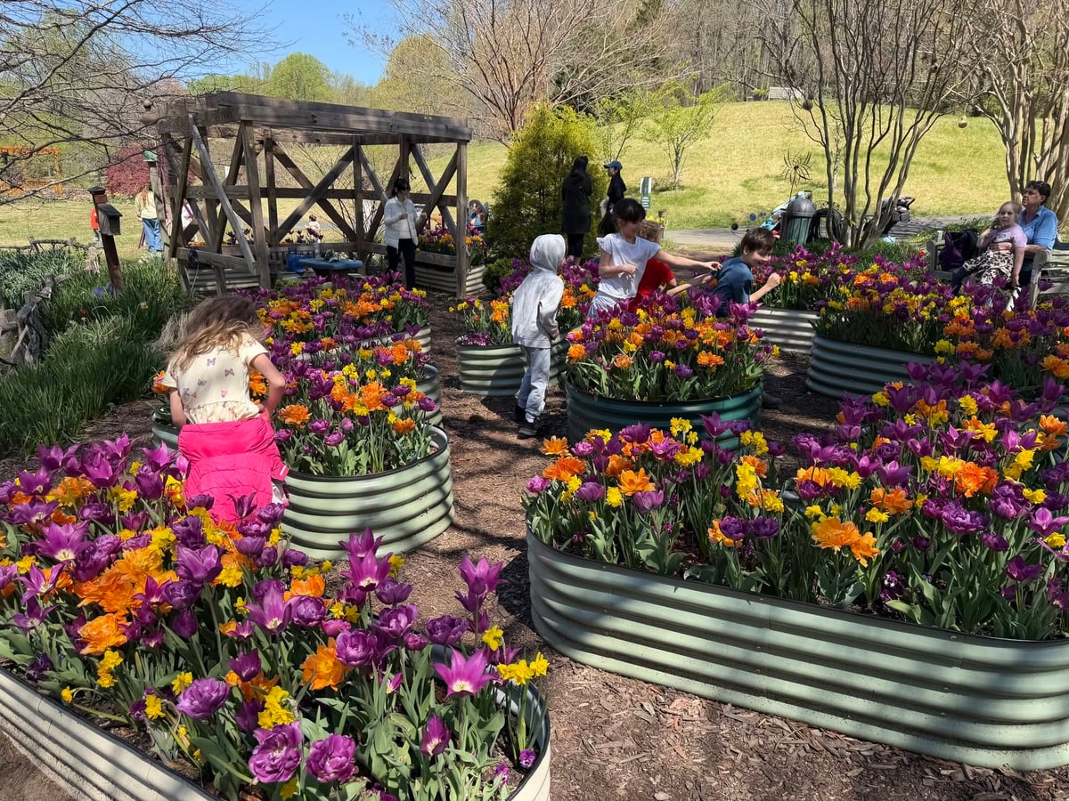 Children exploring vibrant flowers during an educational outdoor field trip, encouraging curiosity, observation, and appreciation for nature at Primrose School.