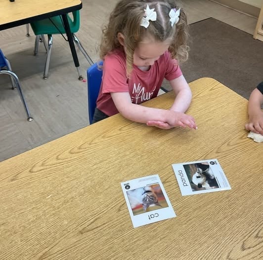 preschool, infant, learning, baby