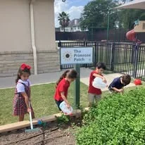 primrose school