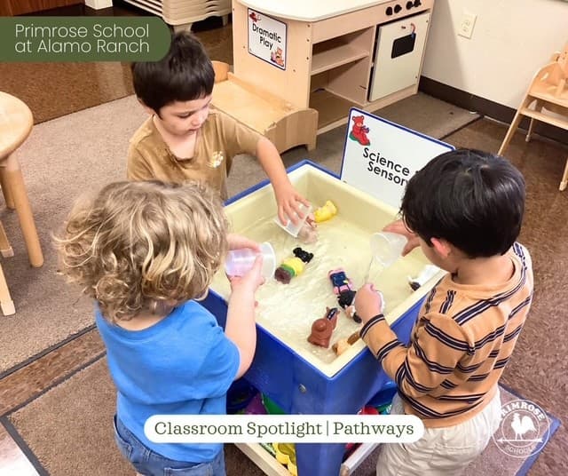 Science and sensory, Curiosity, balanced learning approach