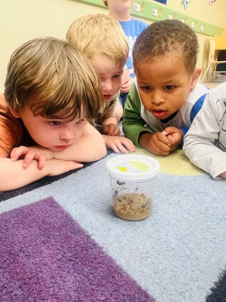 Preschool Program Frisco, Tx