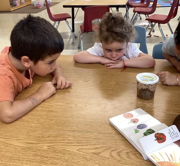 Preschool children closely observing a caterpillar habitat and storybook while learning about insects and life cycles.