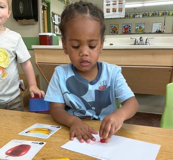 Primrose School - Pinnacle - Earl Preschool- childcare