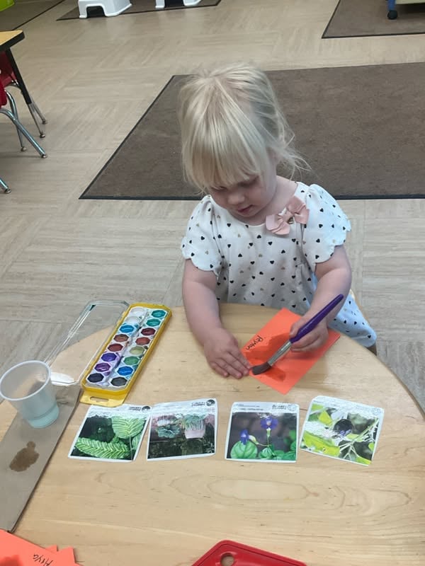 preschool, infant, learning, baby