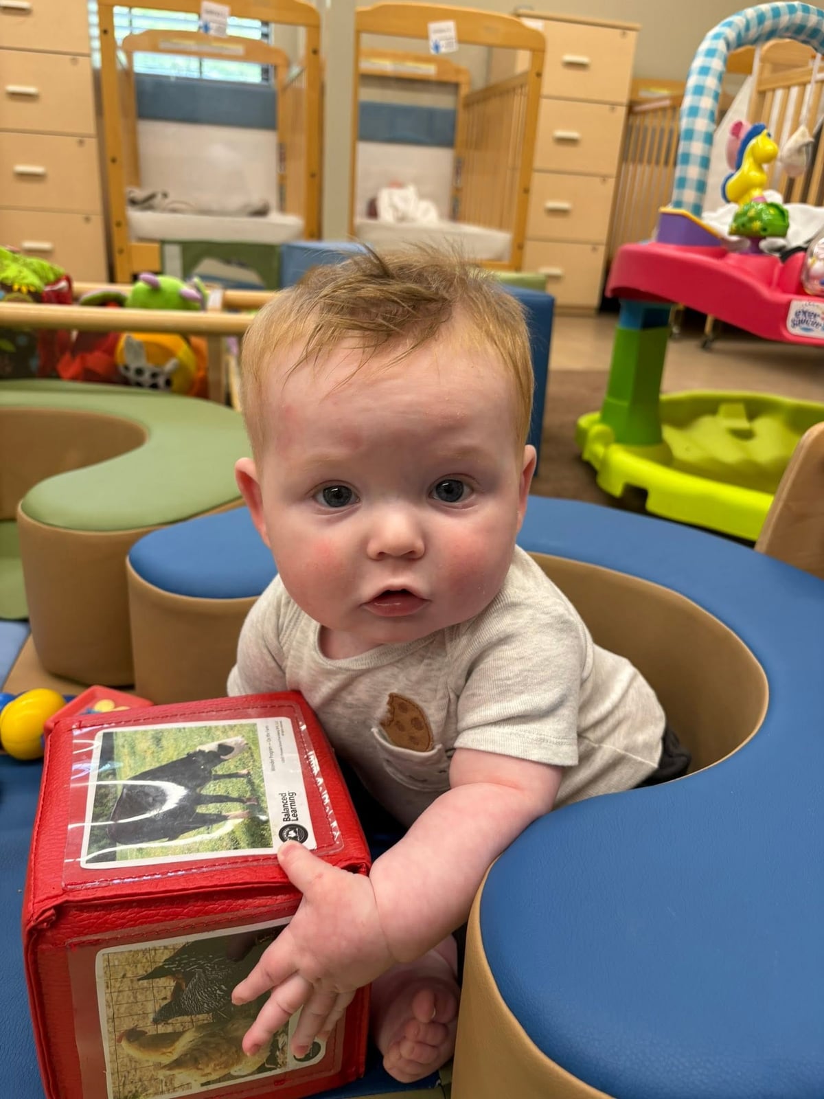 Infant sitting in a supportive play seat while exploring an animal discovery cube during classroom playtime at Primrose School.