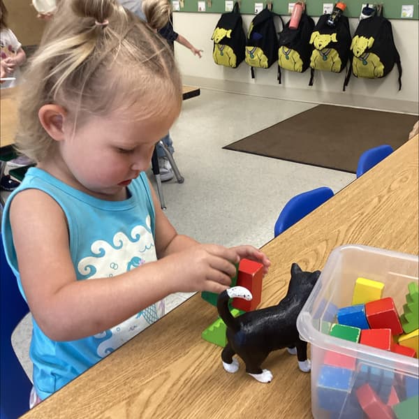 Early Preschool