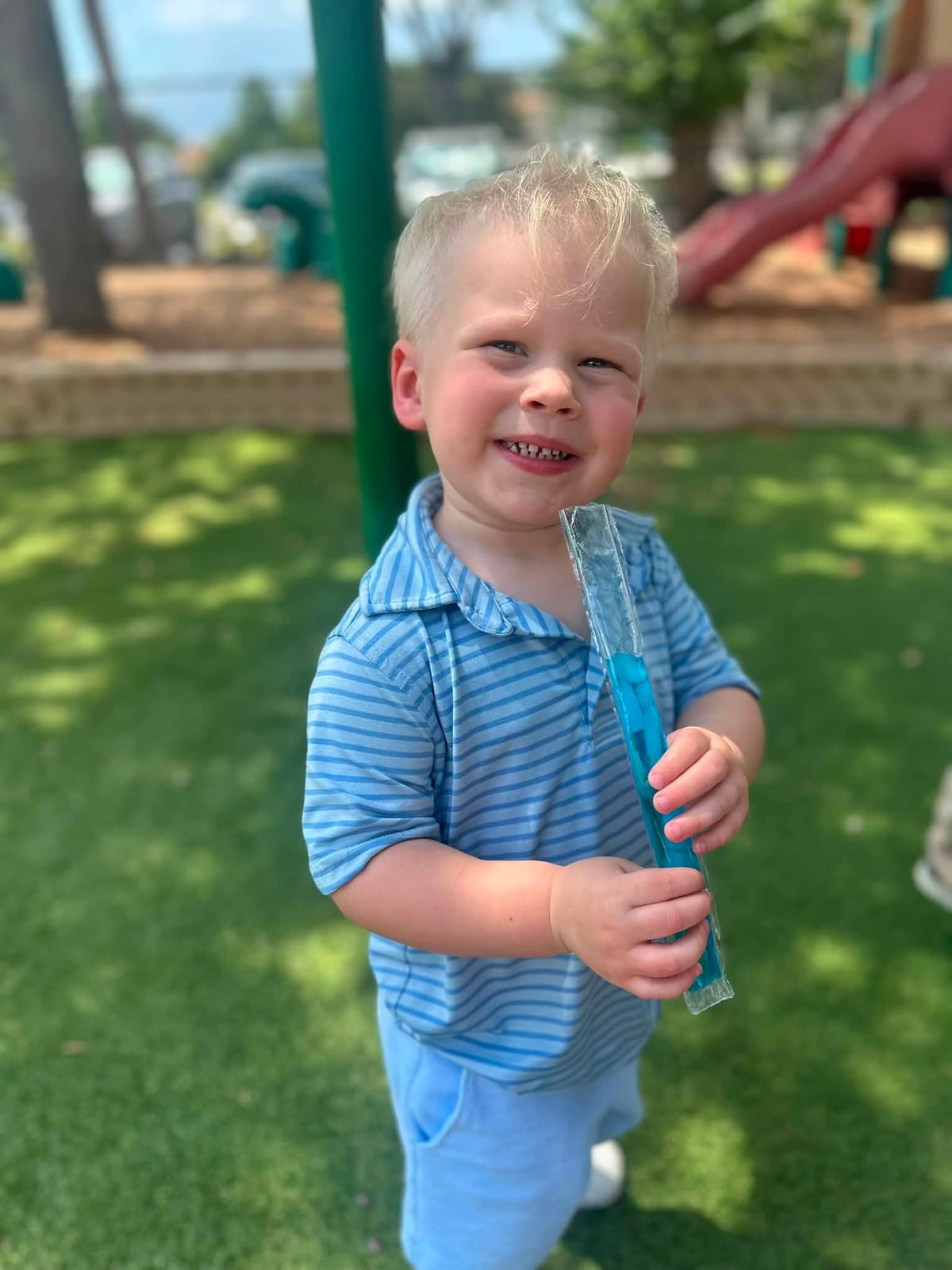 Happy National Freezer Pop Day!
