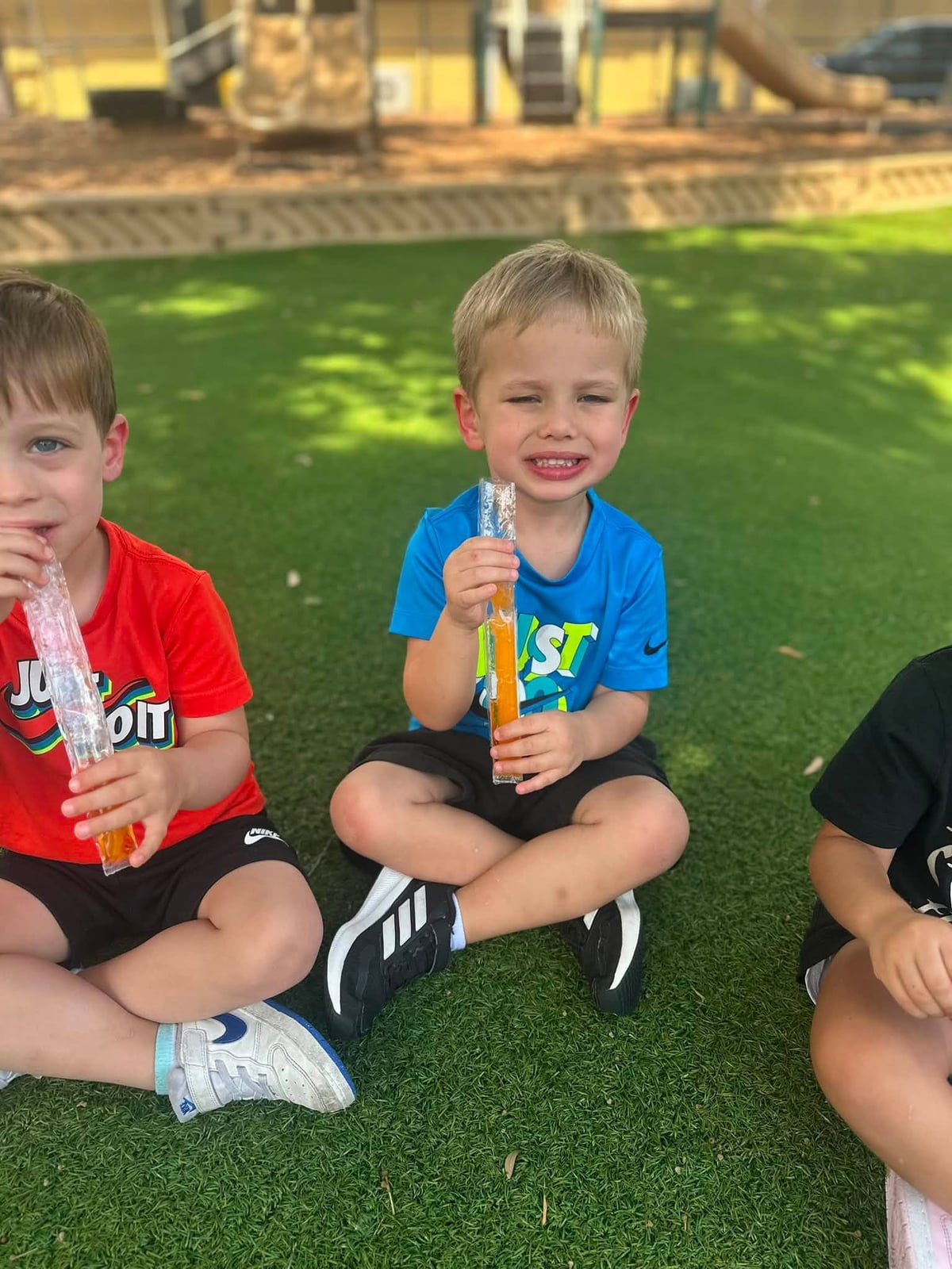 Happy National Freezer Pop Day!