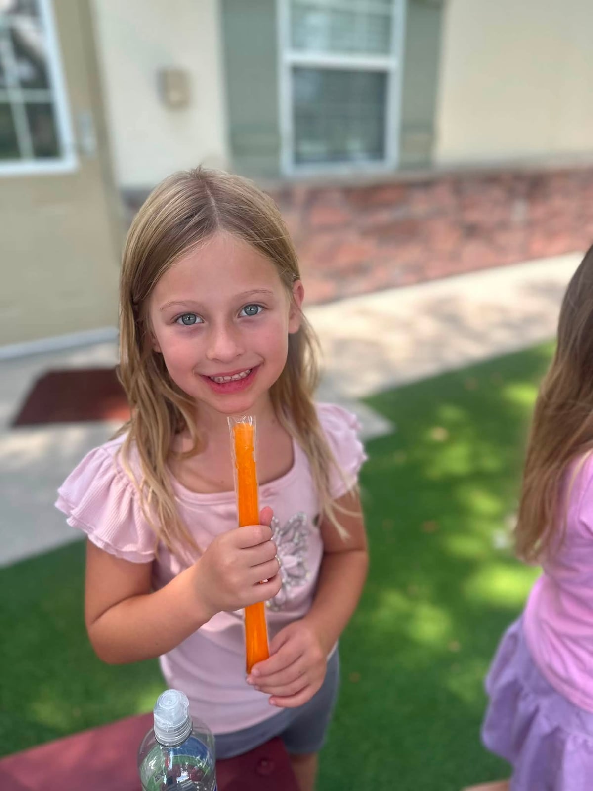 Happy National Freezer Pop Day!