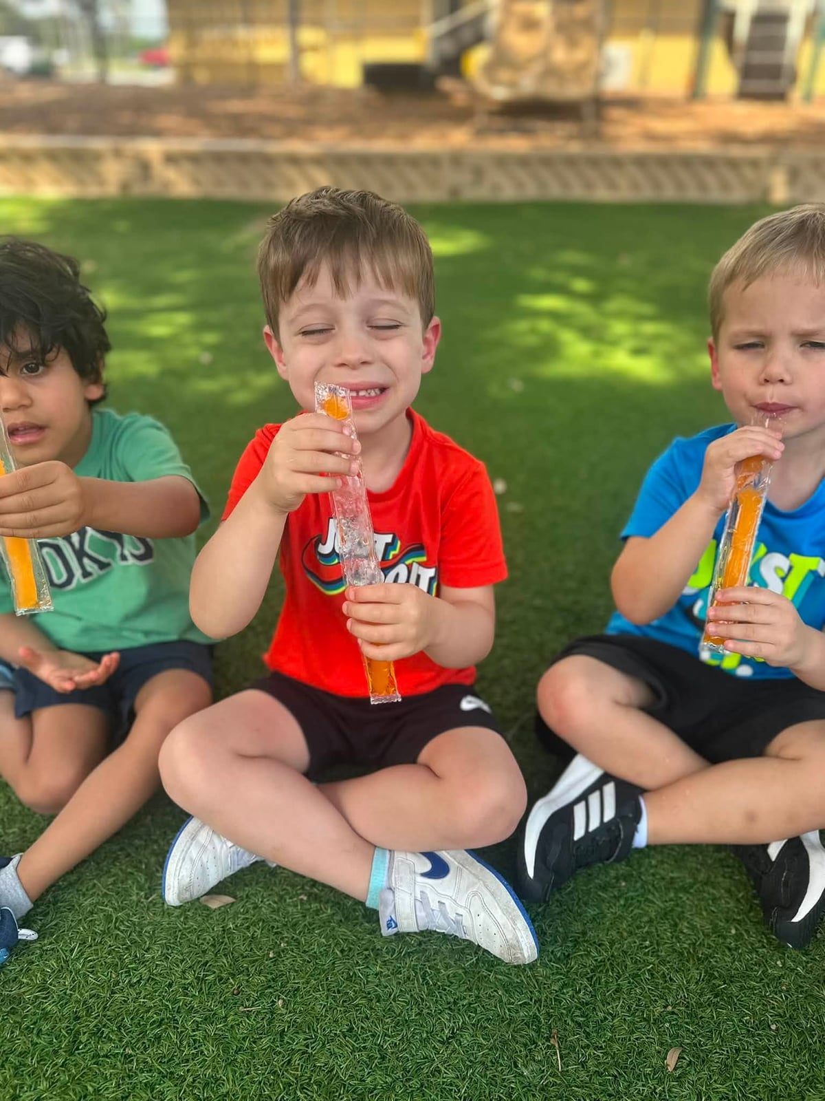 Happy National Freezer Pop Day!