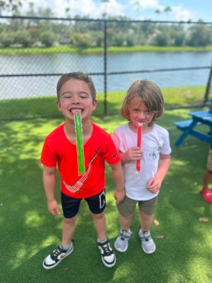 Happy National Freezer Pop Day!