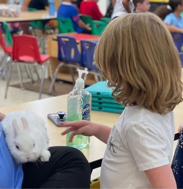 A Magical Day at Summer Camp!